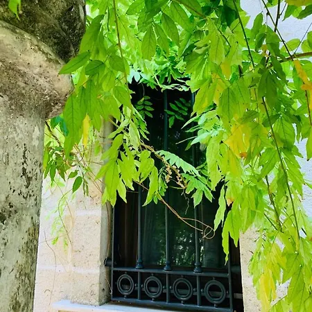 Sine Tempore Bed & Breakfast Manduria