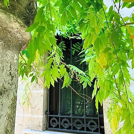 住宿加早餐酒店 Sine Tempore 4*