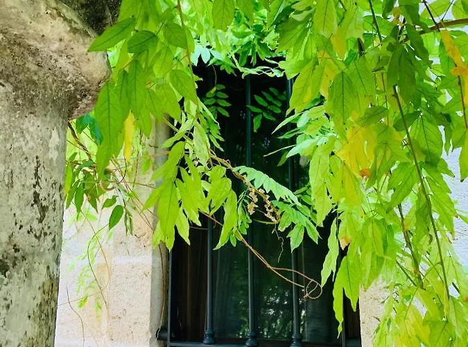 Sine Tempore Bed & Breakfast Manduria