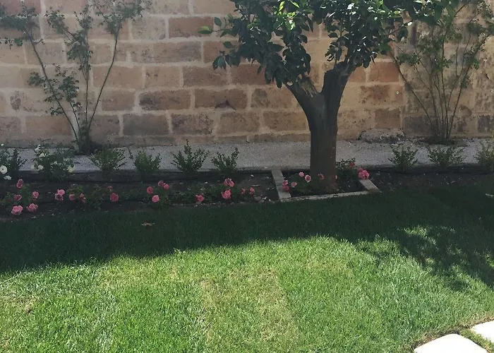 Bed & Breakfast Sine Tempore