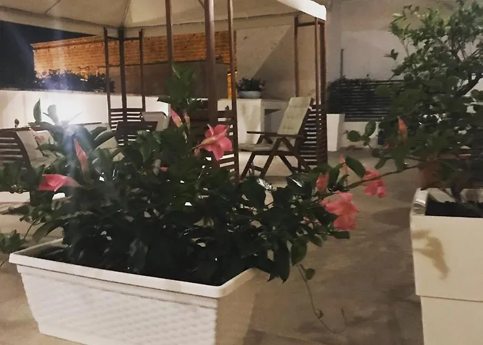 Sine Tempore 曼杜里亚